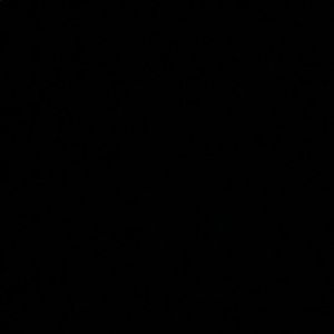 Meet your Posher, Isabella